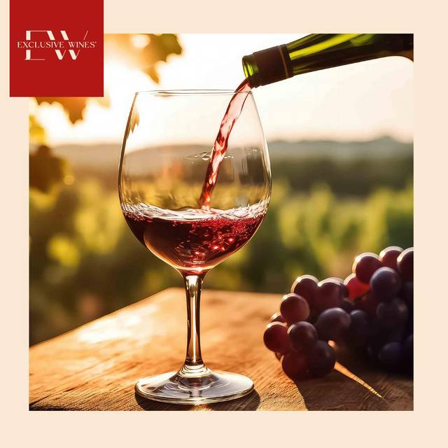 Exclusive Wines — Page 02